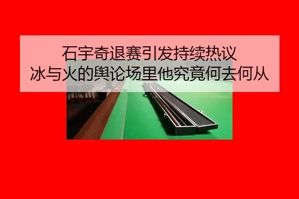 石宇奇退赛引发持续热议 冰与火的舆论场里他究竟何去何从